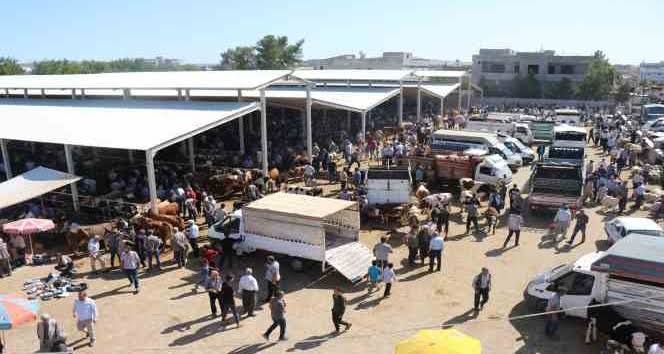 Yaylak Hayvan Pazarı Geçici Olarak Kapatıldı