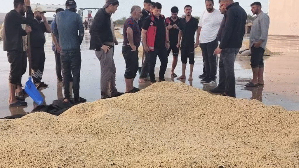 Çiftçiyi Bu Kez De Sel Vurdu