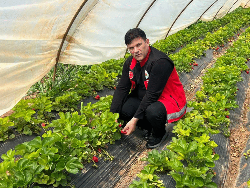 Bozova’da Ürün Çeşitliliğiyle Bereket Artıyor